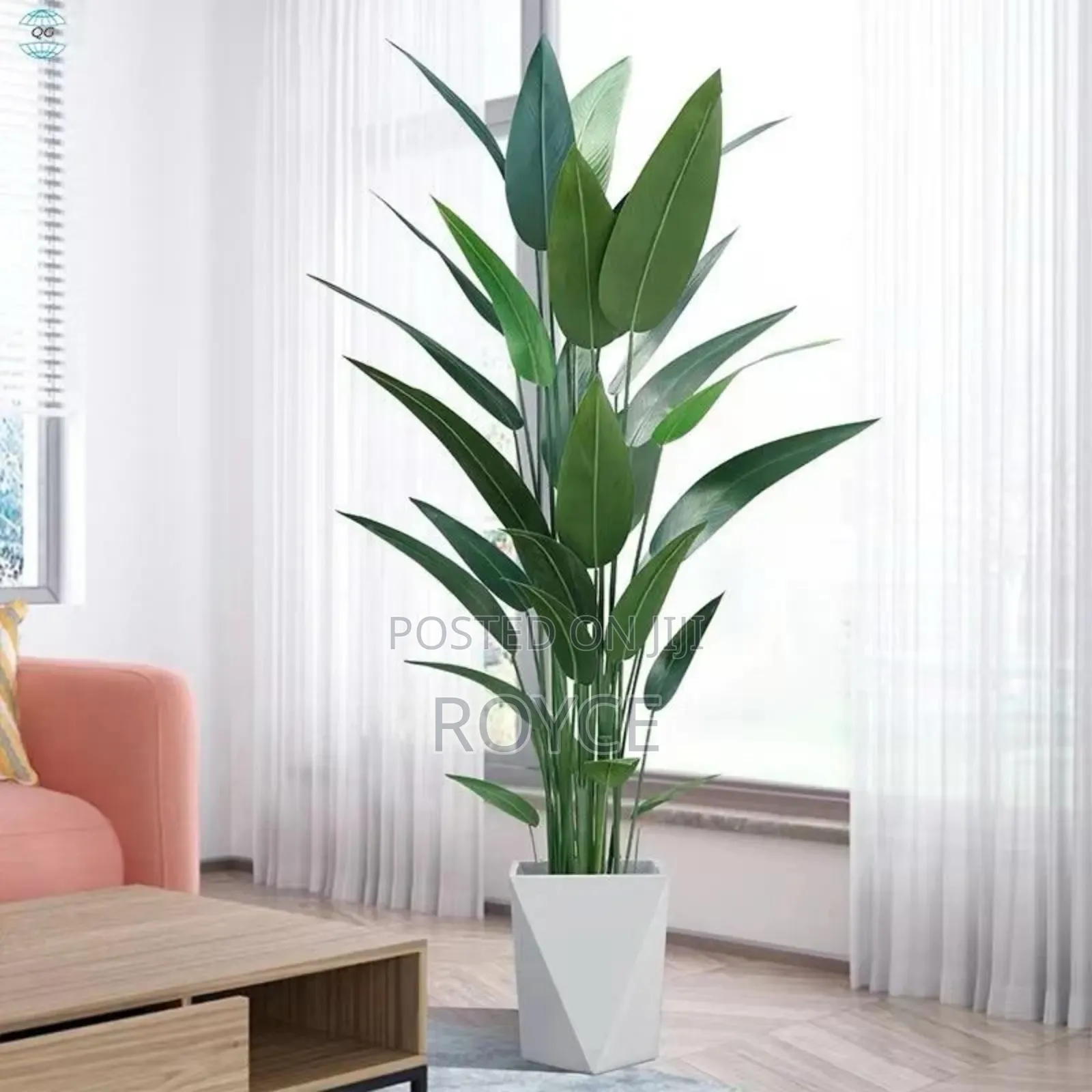 Real Touch Artificial Strelitizia Plant