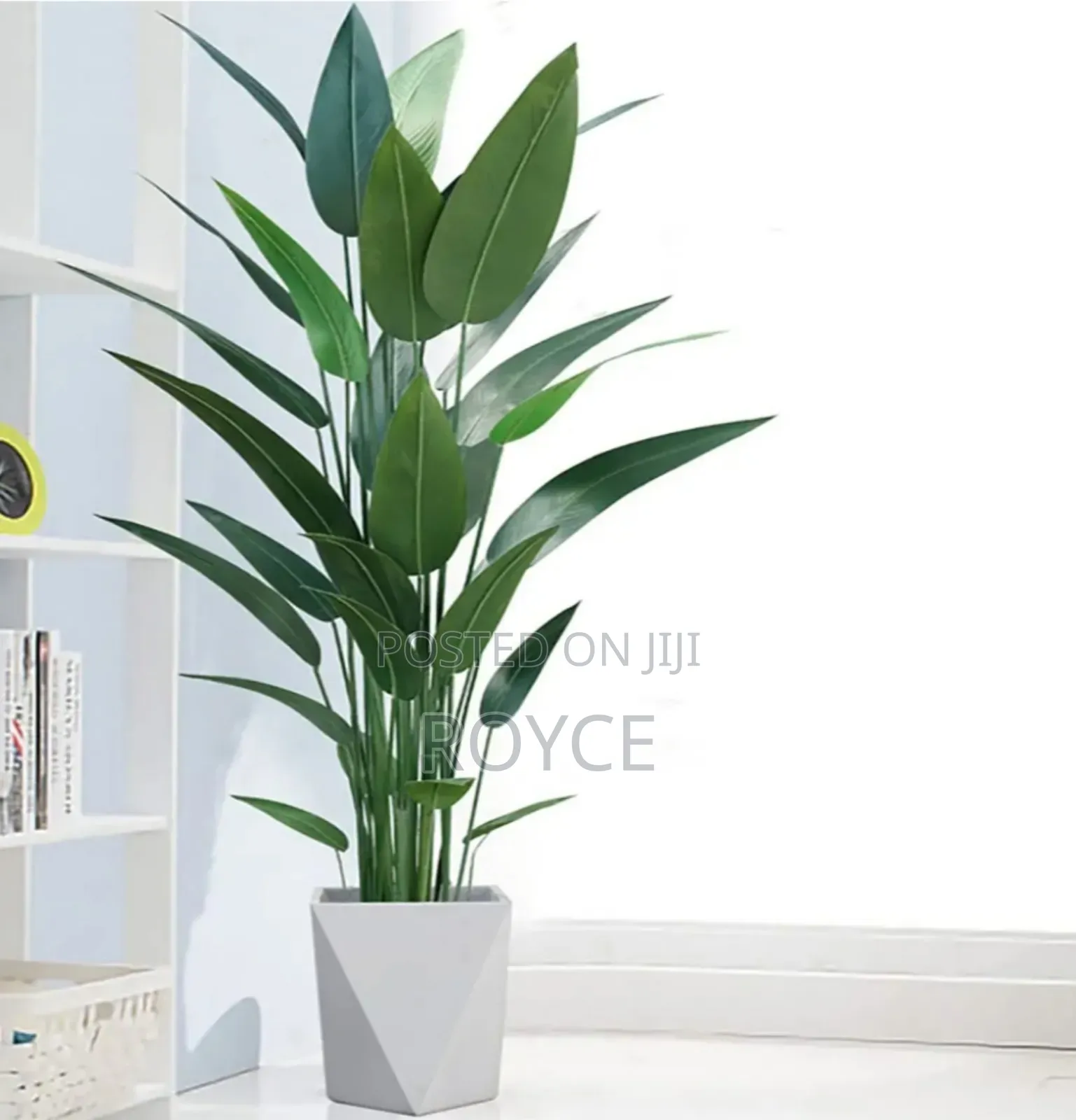 Real Touch Artificial Strelitizia Plant