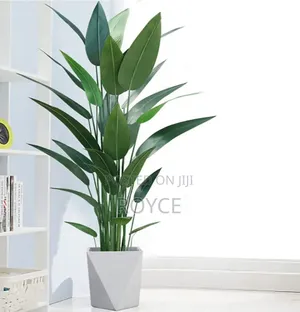 Real Touch Artificial Strelitizia Plant