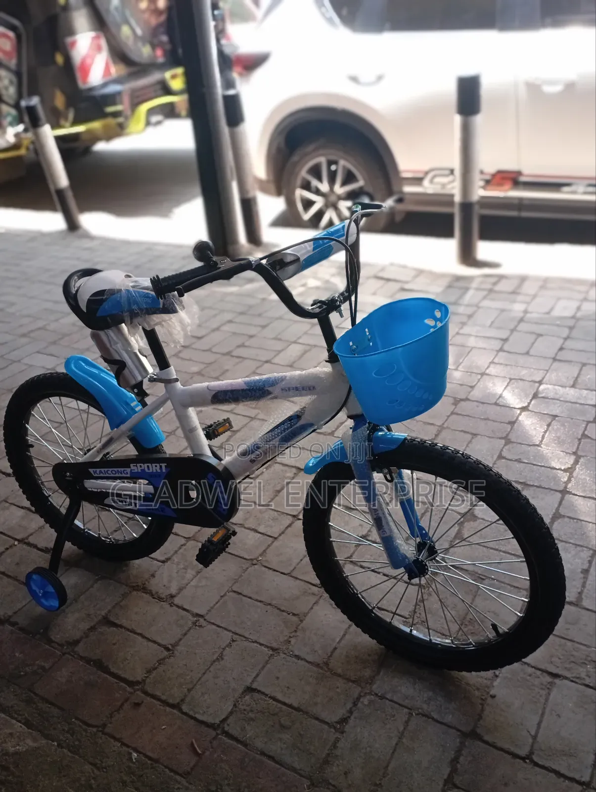 Preferred Size 20 Bicycle Heavy With Training Wheels