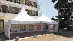 100 Seater 2-Peak Tent