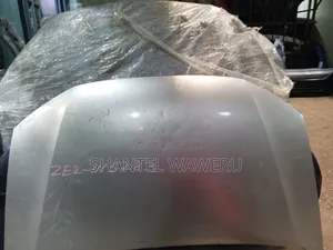 Hondainsight Bonnet