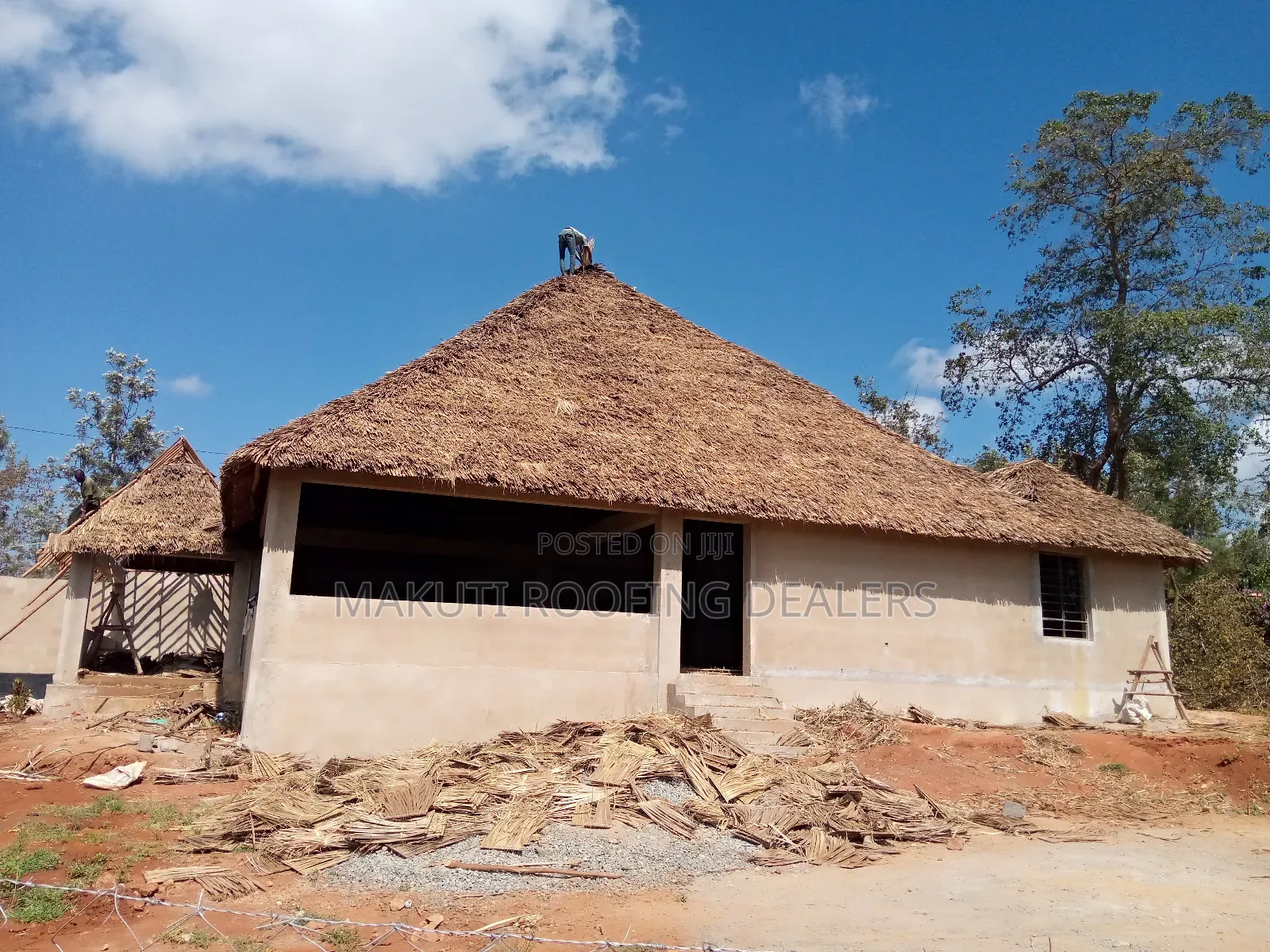 Makuti Experts at Diani