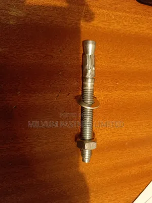 Wedge Anchor Bolts 10x100