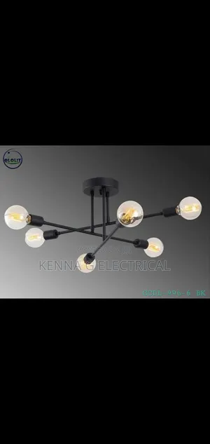 Glass Globe Ceiling Suspended Chandelier and Pendant Lamps