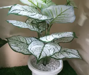 Artificial Plants White/Green