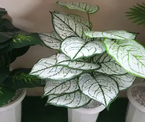 White/Green Artificial Plants