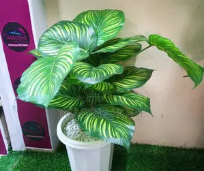 Yellow Green Artificial Plants