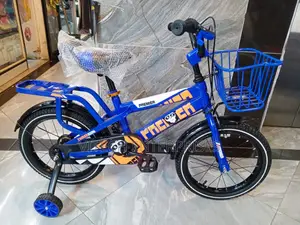 Bike Size 16