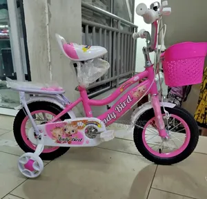 Best Quality Size 16 Kid Bike Best Color for Girls