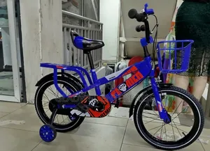 Best Quality Premier Kid Bike/Three Gun BMX