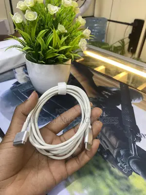 Type-C to Magsafe 2 Cable