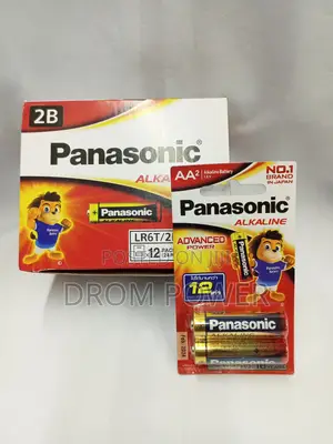 Panasonic Aa