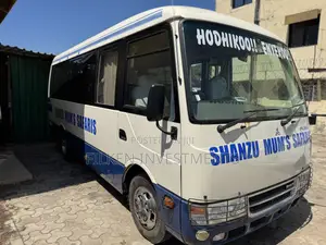 Mitsubishi Fuso Rosa 2013 Beige