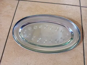 Chips Plates 6pc/Stainless Steel Oval Plates/6pc Hotel Plate