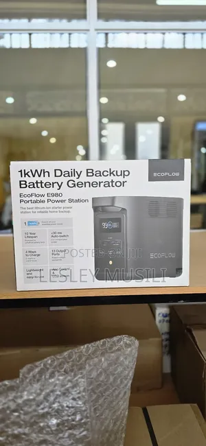 Ecoflow E980 Portable Power Station 1kwh