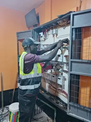 Professional Electrician