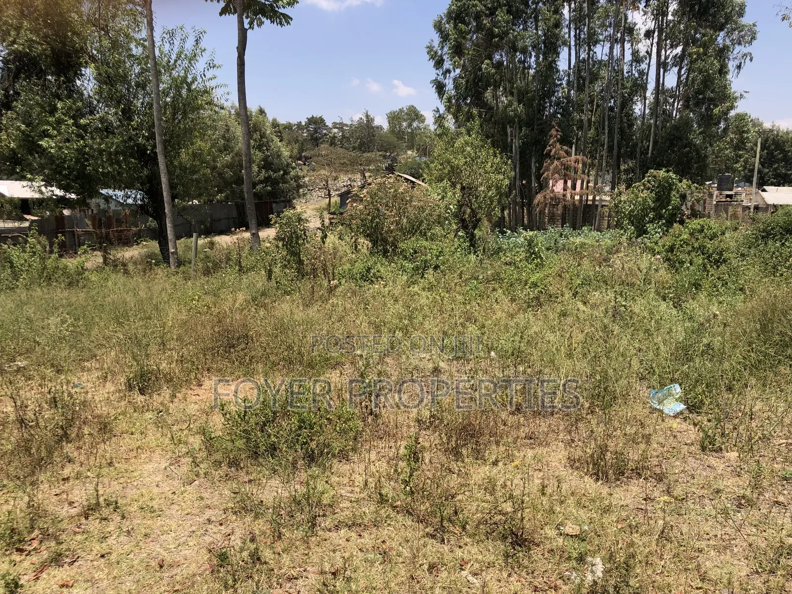 Prime Plot in Kiserian