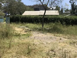 Prime Plot in Kiserian