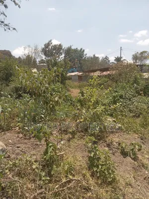 Prime Plot in Kiserian
