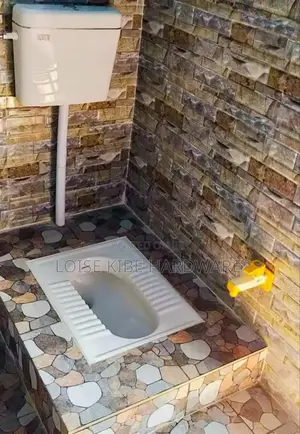 Full Seat Step Asian Toilet Available