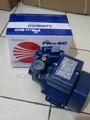 Water, Pump Pedrollo Water Pump