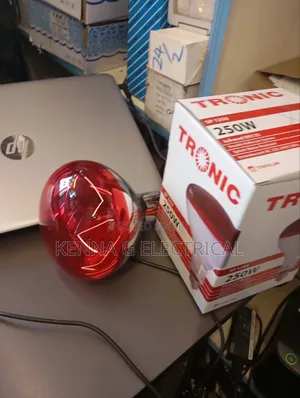Chicken Bulb Farm Poultry Warming Lights Bird Heat