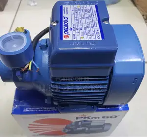 Pedrollo Booster Water Pump