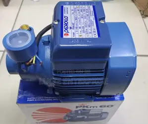 0.5hp Pedrollo Water Pump