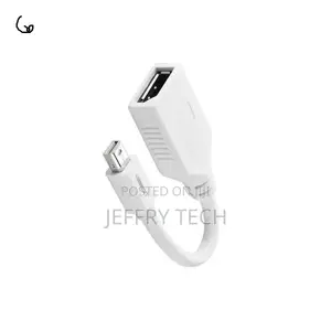 Ugreen Mini Displayport to Displayport Adapter-Male - Female