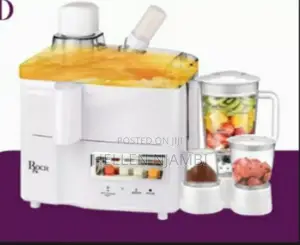 4 in 1 Roch Juicer