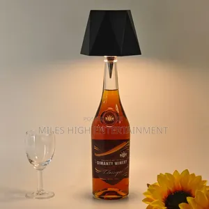 Decorative Creative Led Lights for Bottles