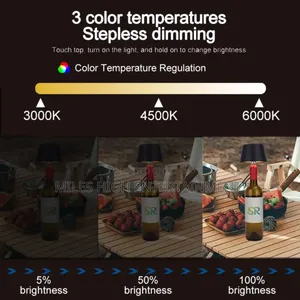 Modern Bottle Table Lamp