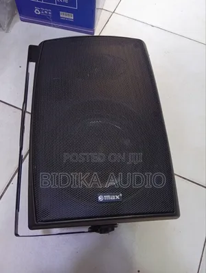 Original Max Wall Mounted Speaker