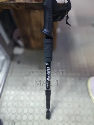 Metallic Hiking Stick