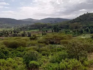 0.25 Acre (100 by 100) for Sale in Ngobit 1.5km From Tarmac