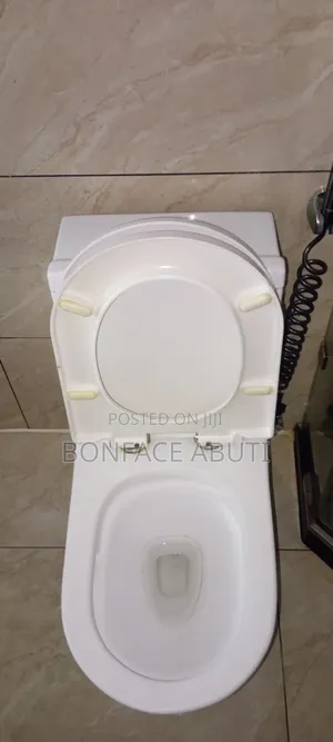 Electricians and Plumber