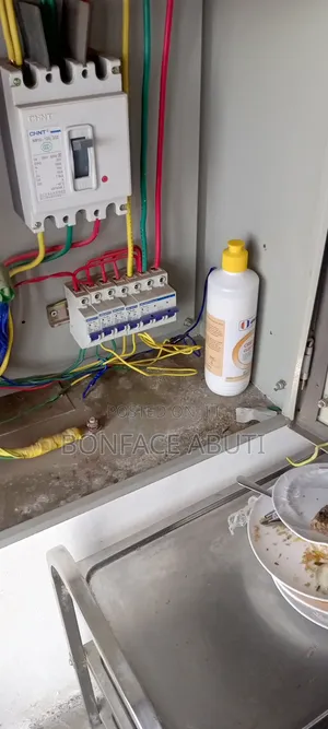 Electricians and Plumber