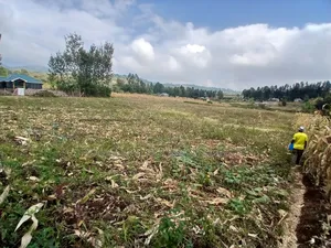 Selling Prime 1 Acre of Land in Upper Matasia