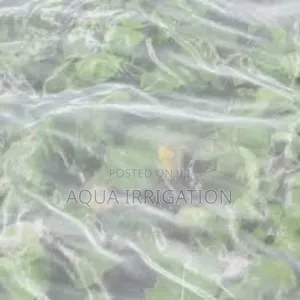 Best Insect Nets for Greenhouse Open Fields