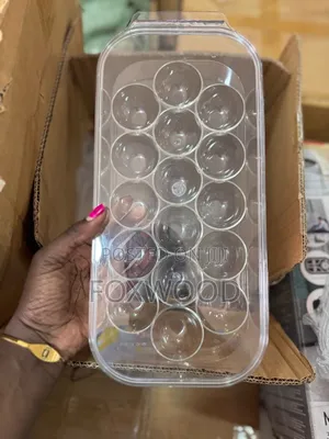 16 Grid Egg Holder With Handle Lid*