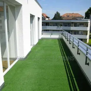 Turf Grass-Your Personal Mini Garden!