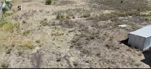Plot for Sale