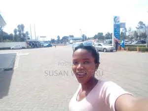 I Am Looking for a Cleaning Job