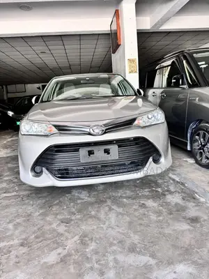 Toyota Axio 2017 Silver