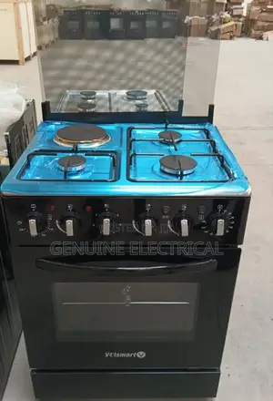 Standing Cooker 60 by 60