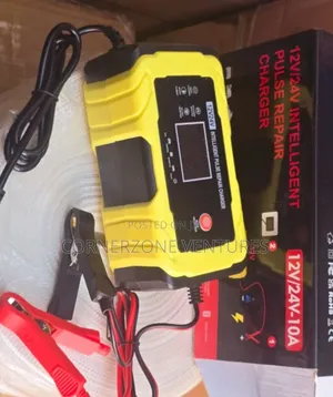 Battery Charger 12v/24v