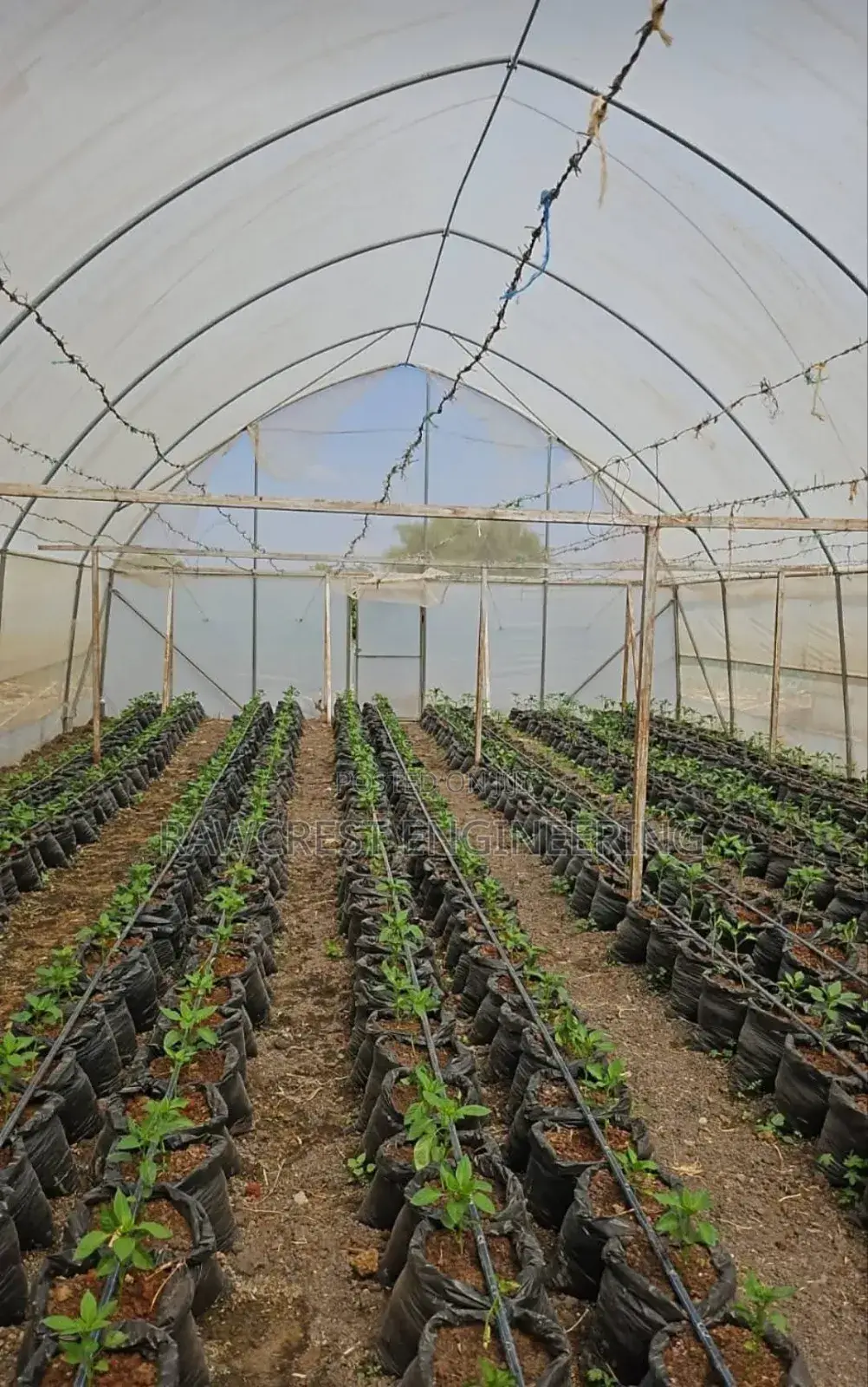Greenhouse Structure Installation