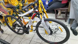 Pro Bike /Mountain Bike Size 29