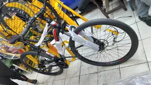 Especial Bicycle/Adult Bike Size 29